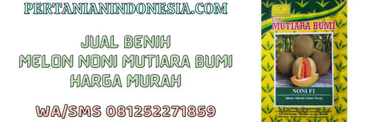 jual,murah,terjangkau,toko pertanian terdekat,pertanian indonesia
